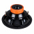 DL Audio Gryphon Lite 12 V2